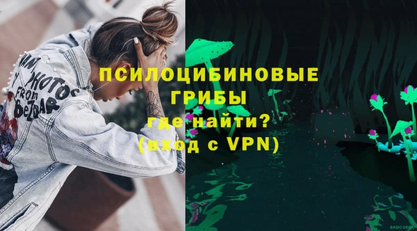 стаф Волосово